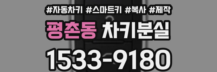 평촌동 차키분실