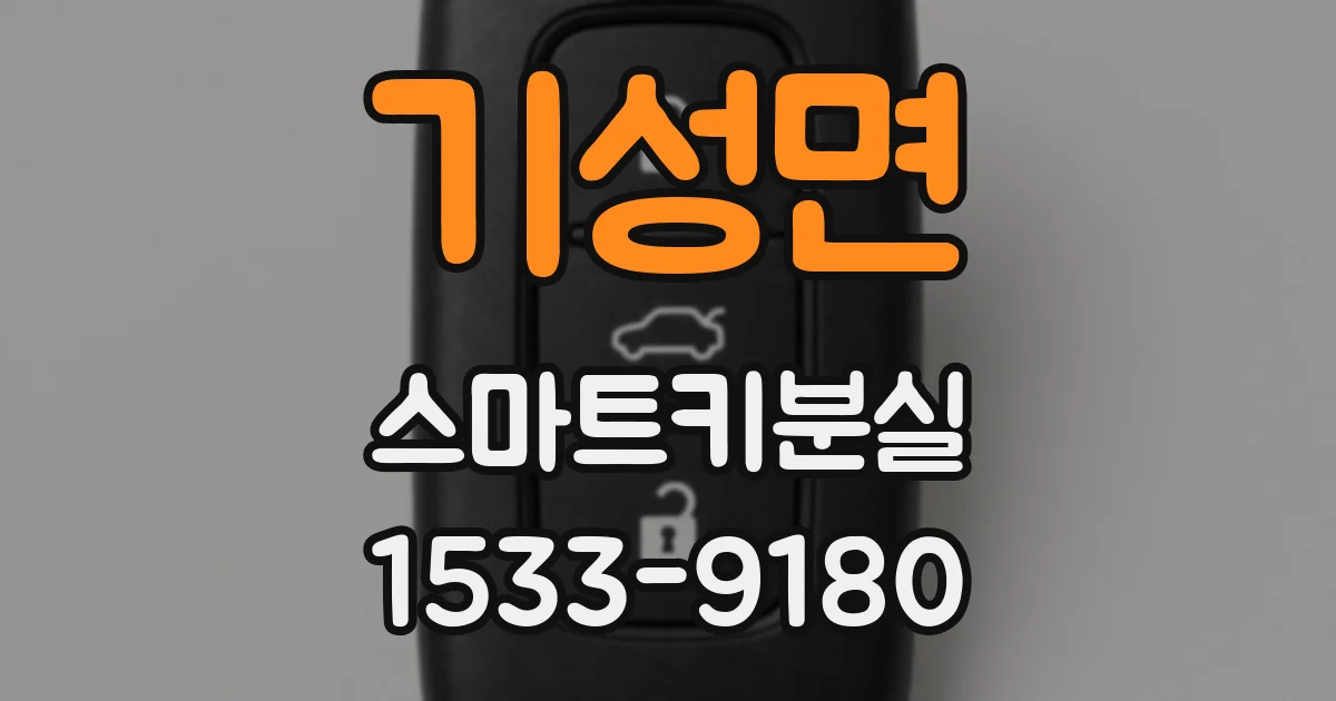 기성면 스마트키분실