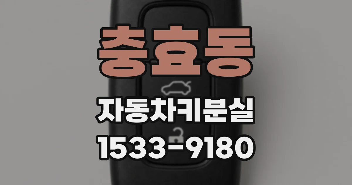 충효동 자동차키분실
