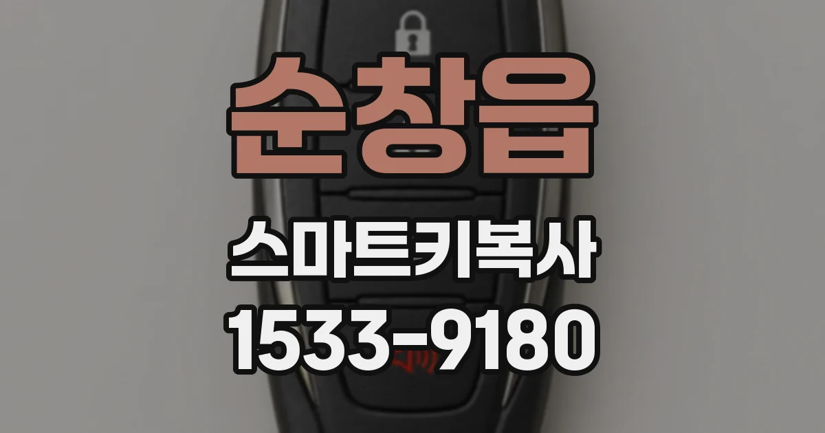 순창읍 스마트키복사
