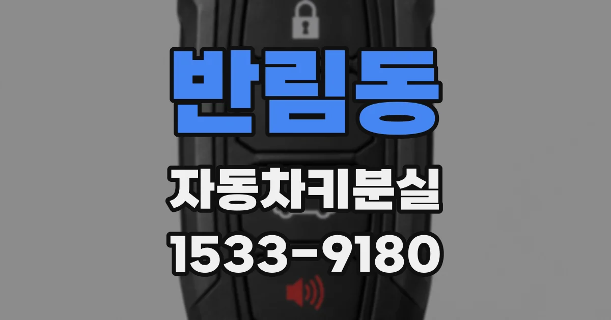 반림동 자동차키분실