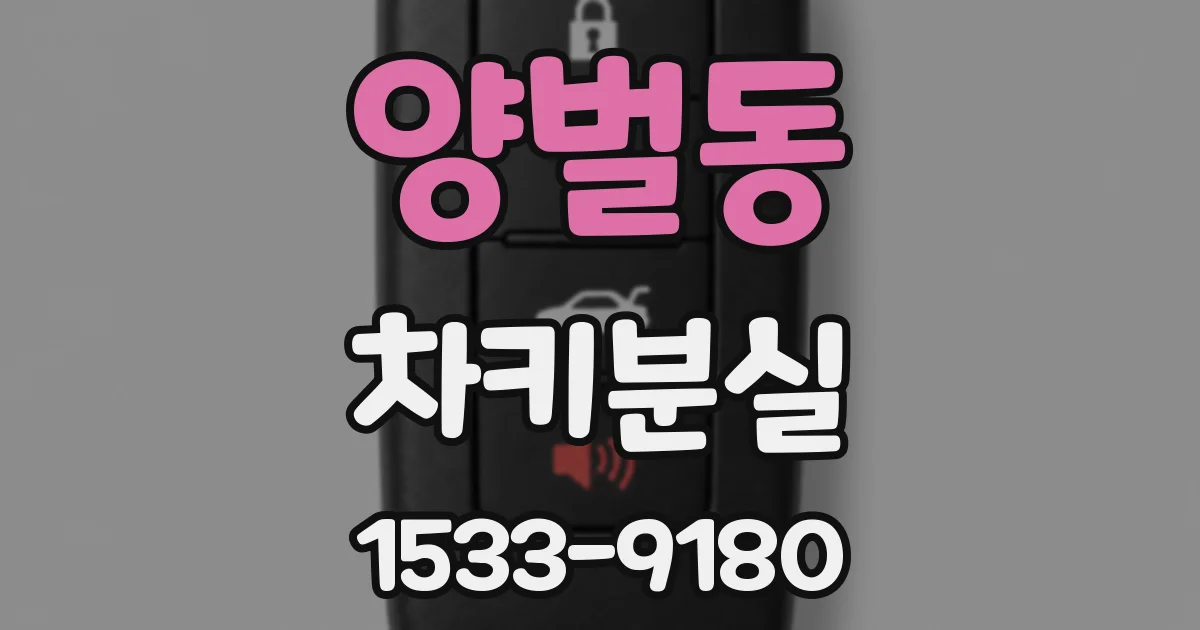 양벌동 차키분실