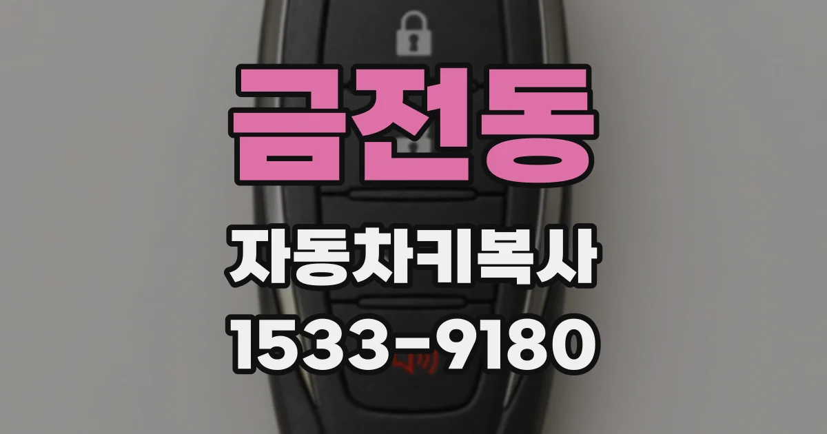 금전동 자동차키복사