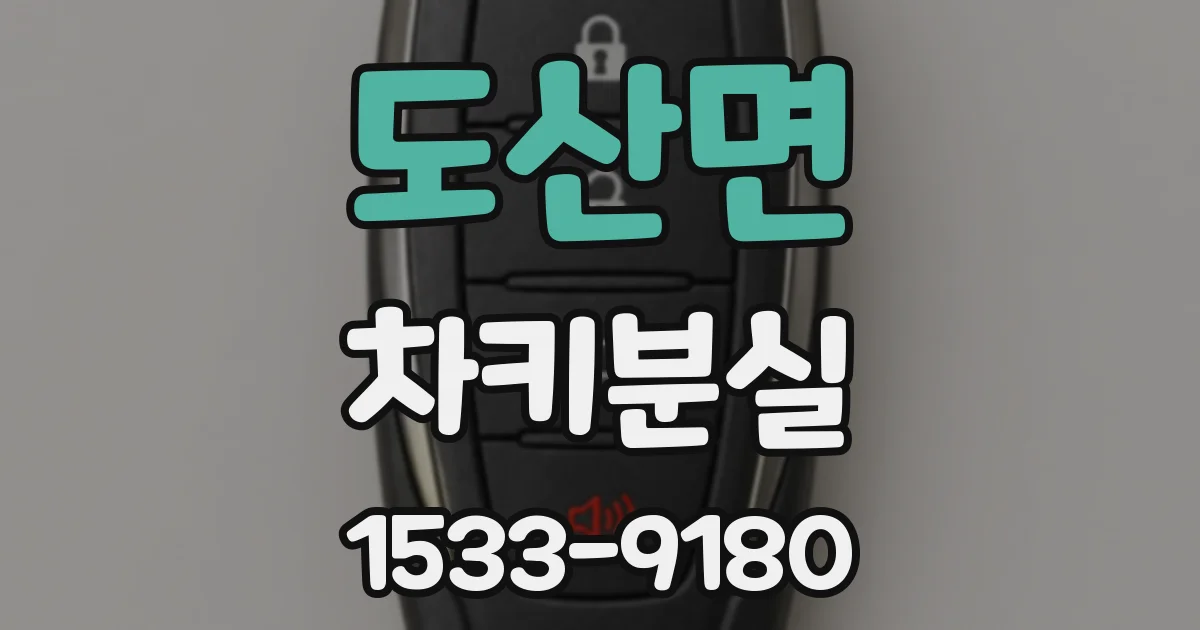 도산면 차키분실