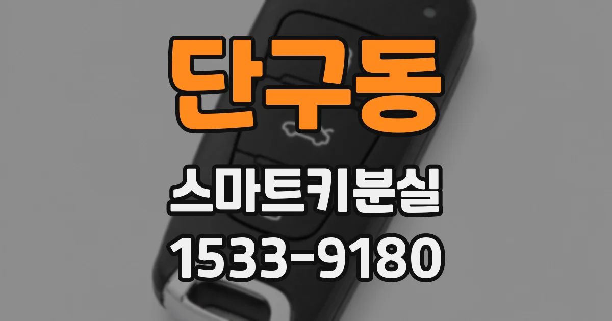 단구동 스마트키분실