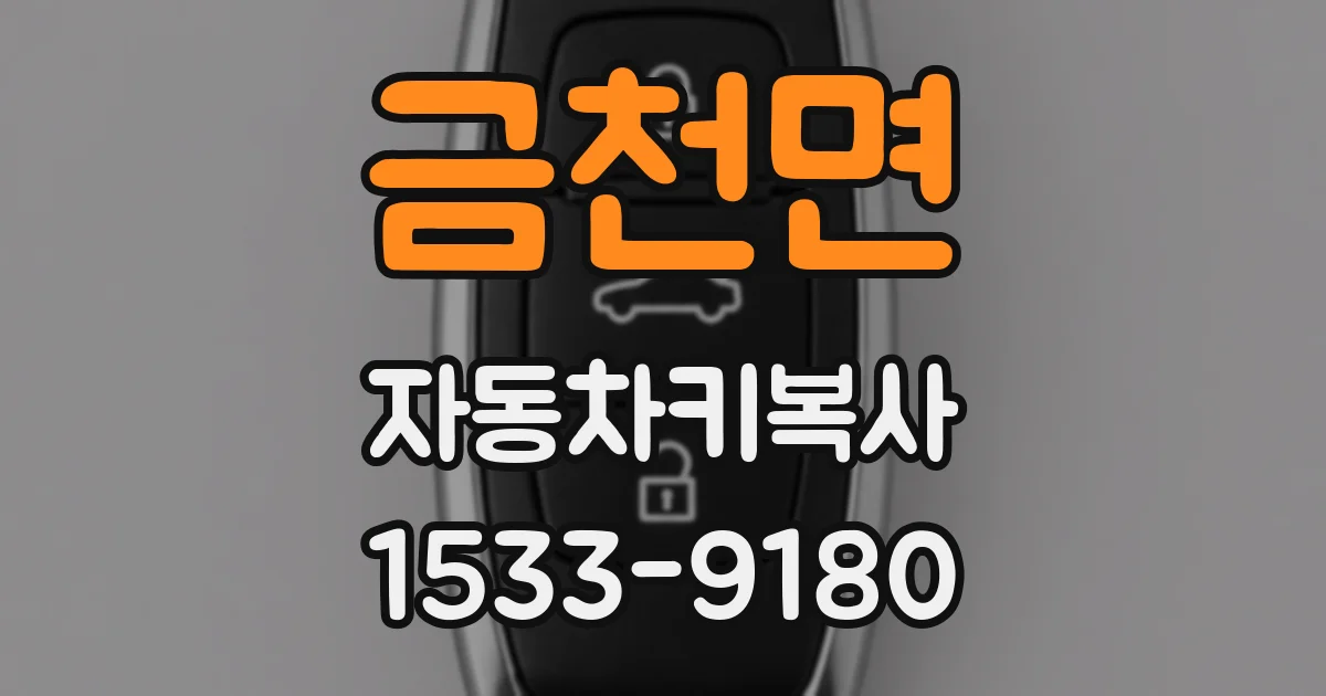 금천면 자동차키복사