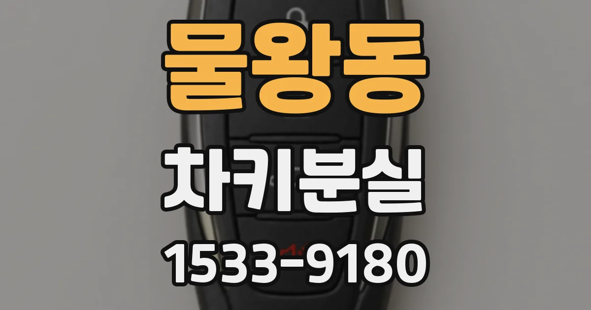 물왕동 차키분실