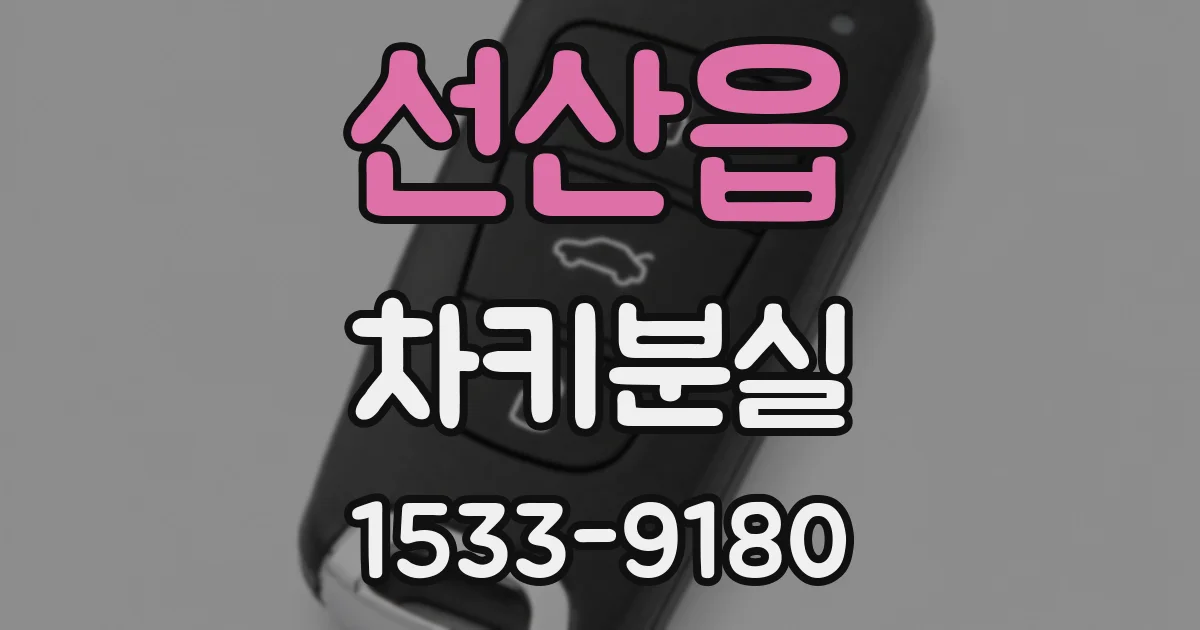 선산읍 차키분실
