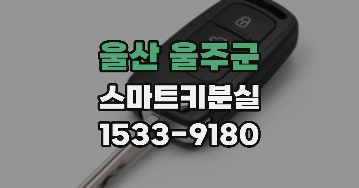 울산 울주군 스마트키분실