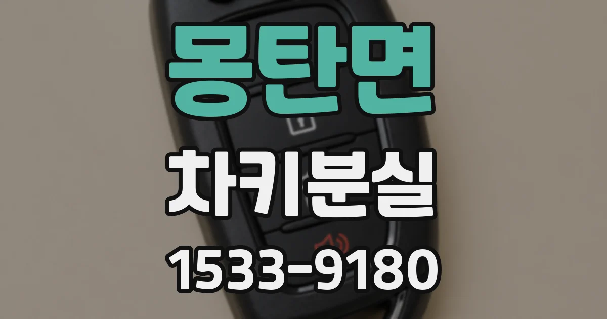 몽탄면 차키분실