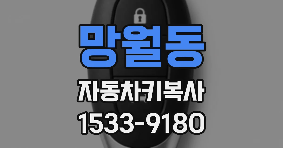 망월동 자동차키복사