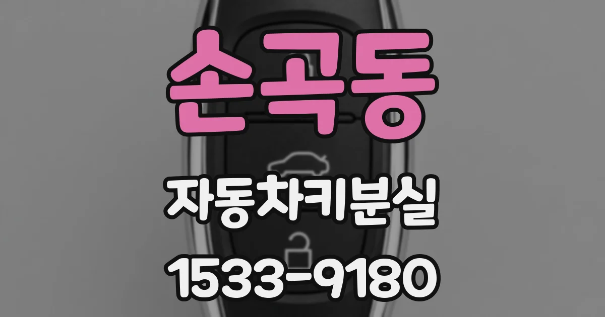손곡동 자동차키분실
