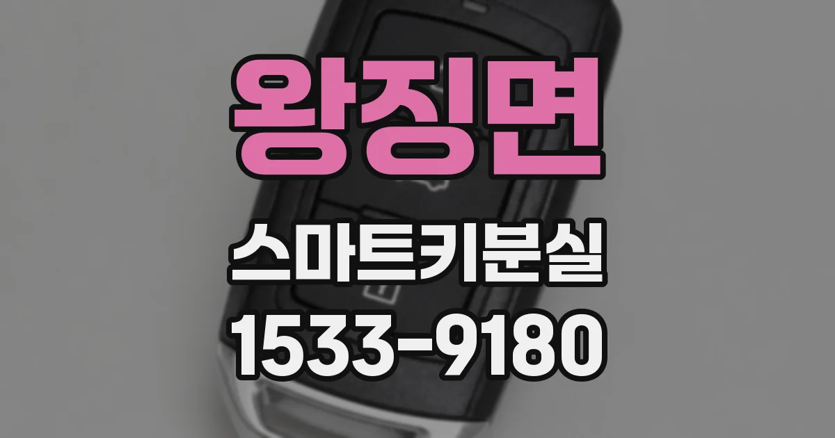 왕징면 스마트키분실