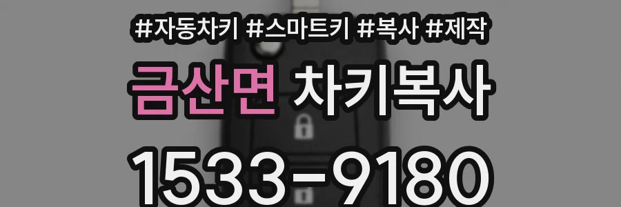 금산면 차키복사
