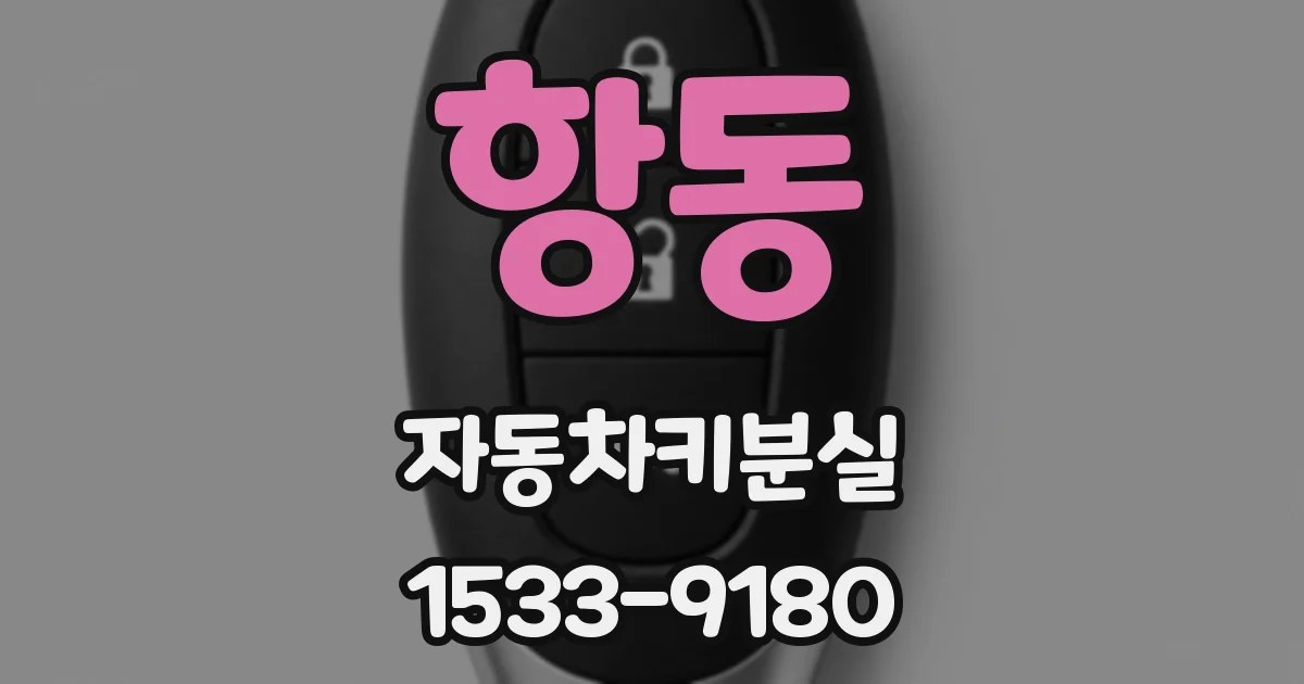 항동 자동차키분실