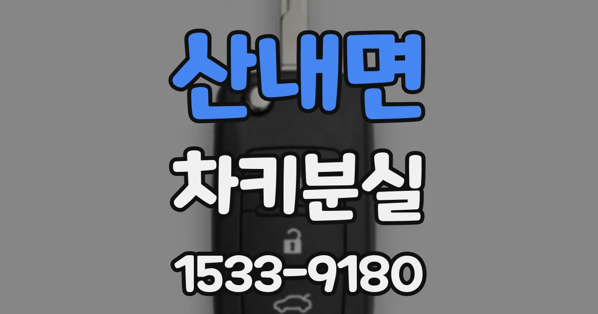 산내면 차키분실