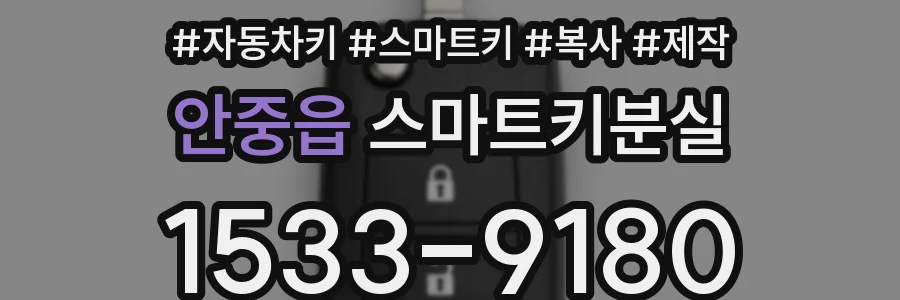 안중읍 스마트키분실