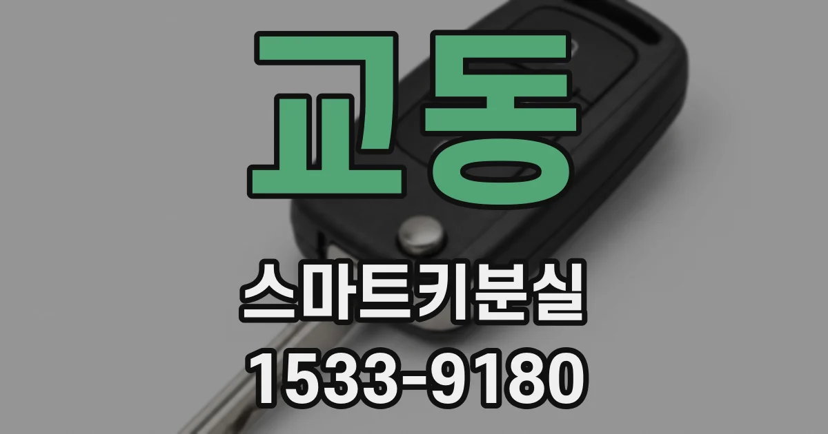 교동 스마트키분실