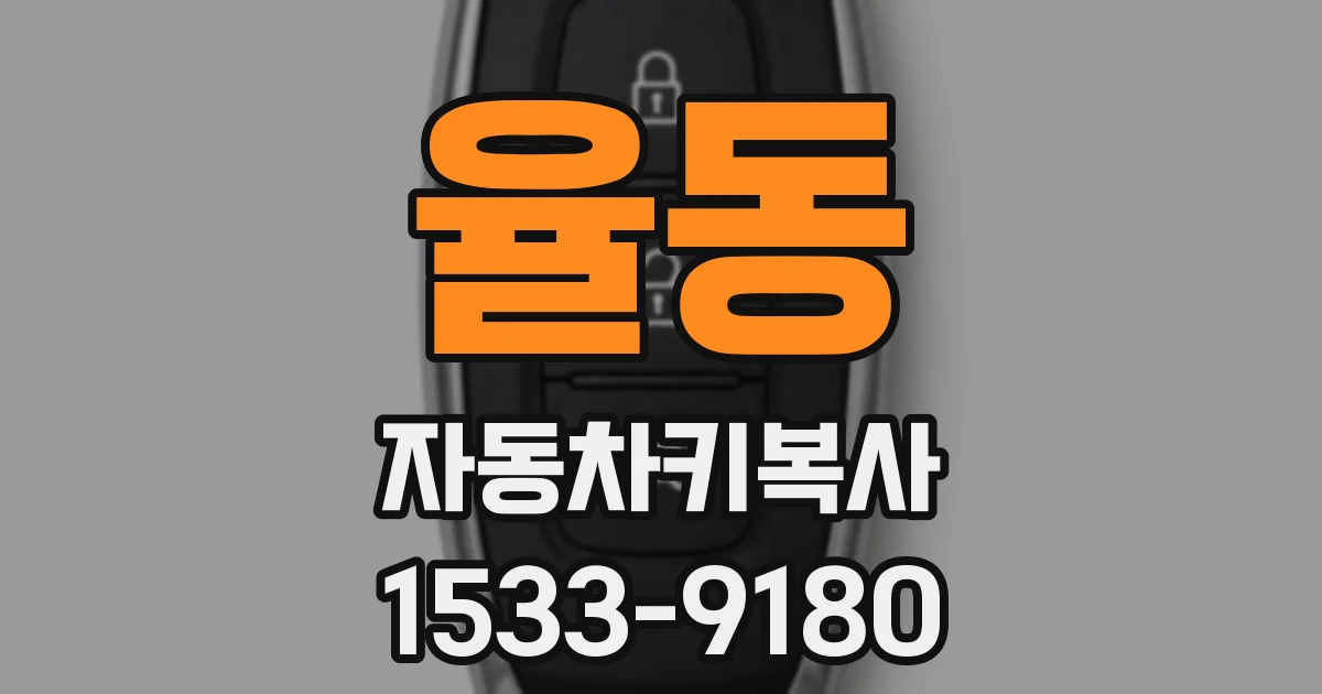 율동 자동차키복사