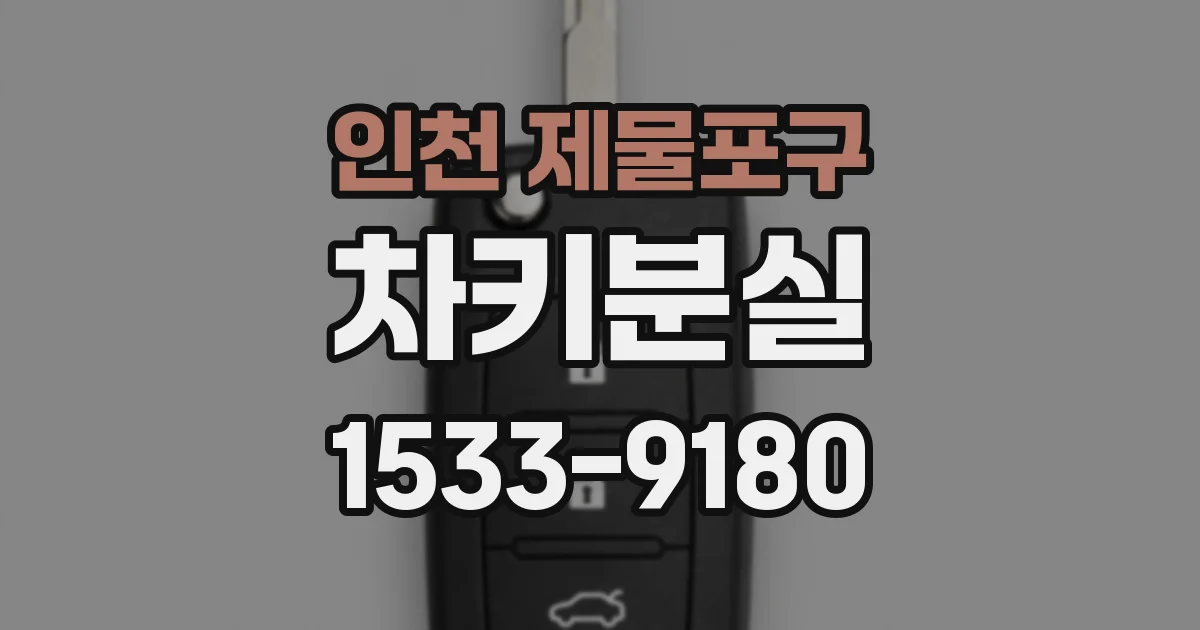 인천 제물포구 차키분실