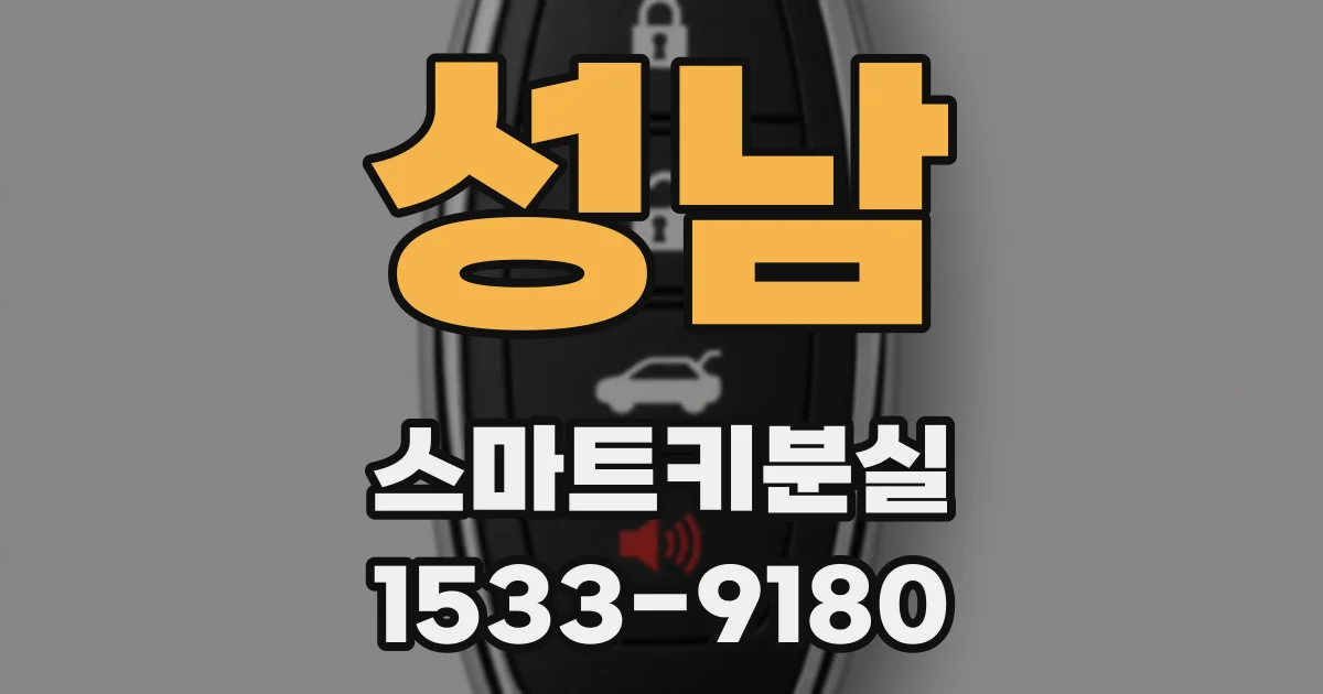 성남 스마트키분실