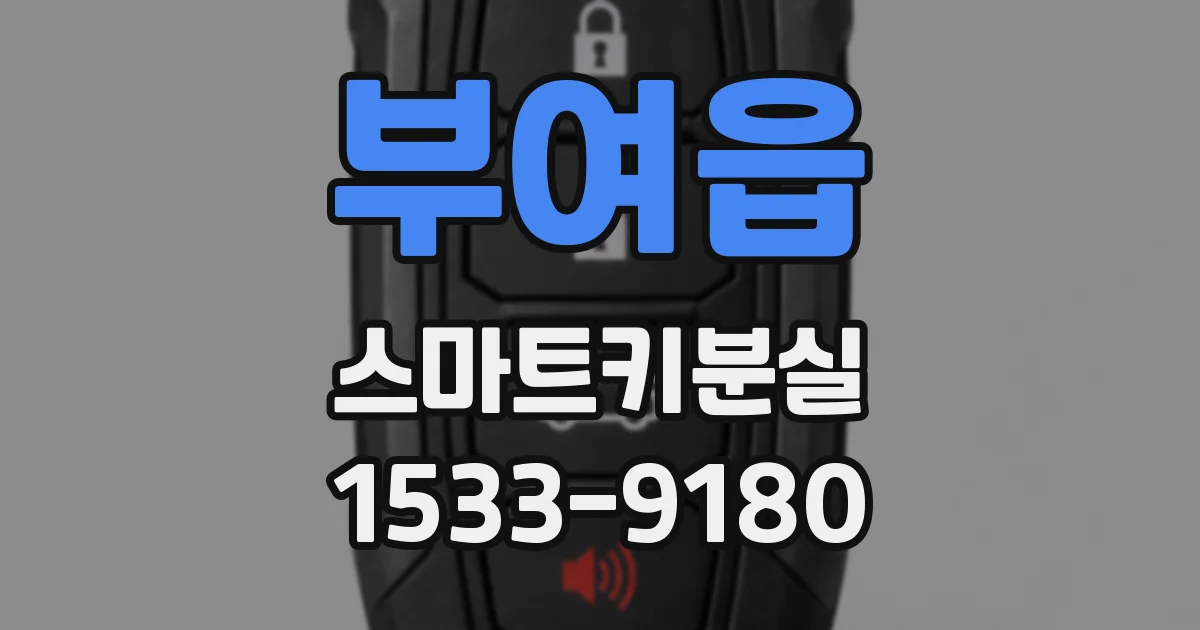 부여읍 스마트키분실
