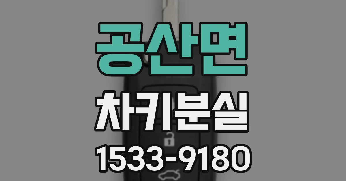 공산면 차키분실