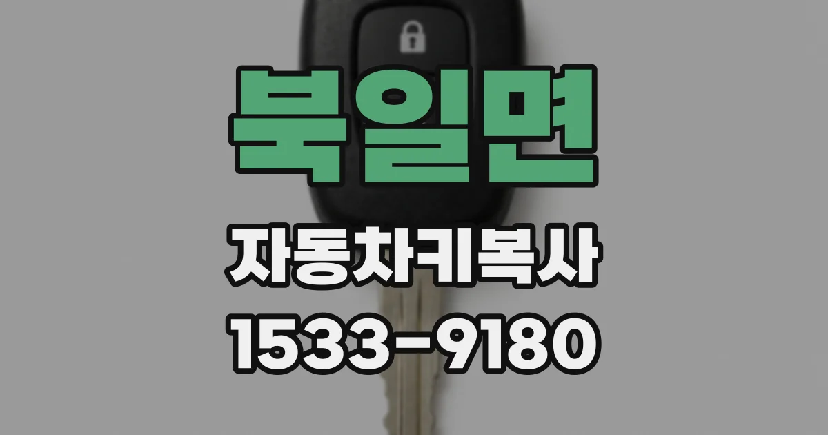 북일면 자동차키복사