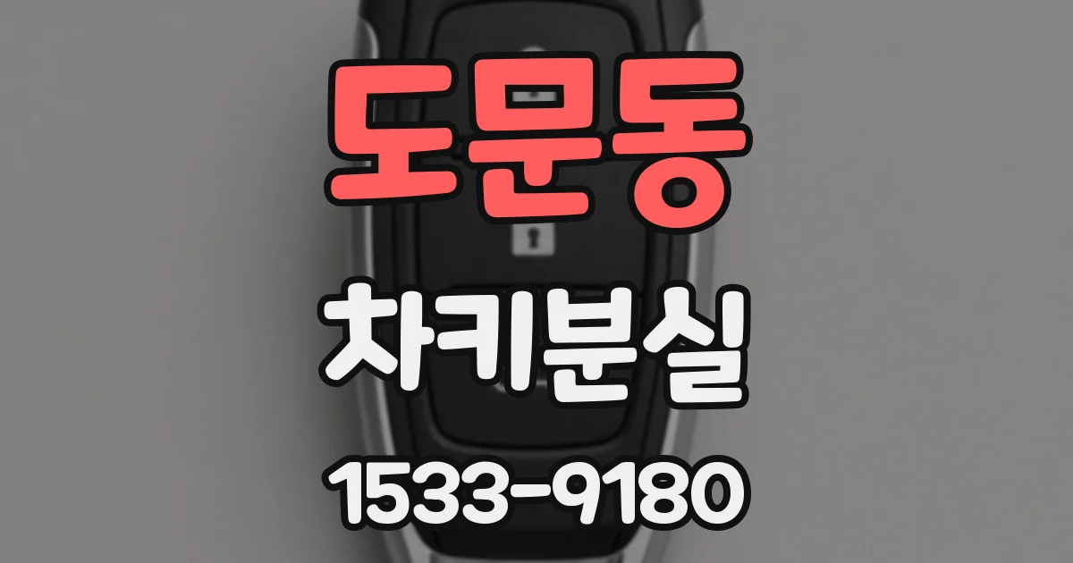 도문동 차키분실