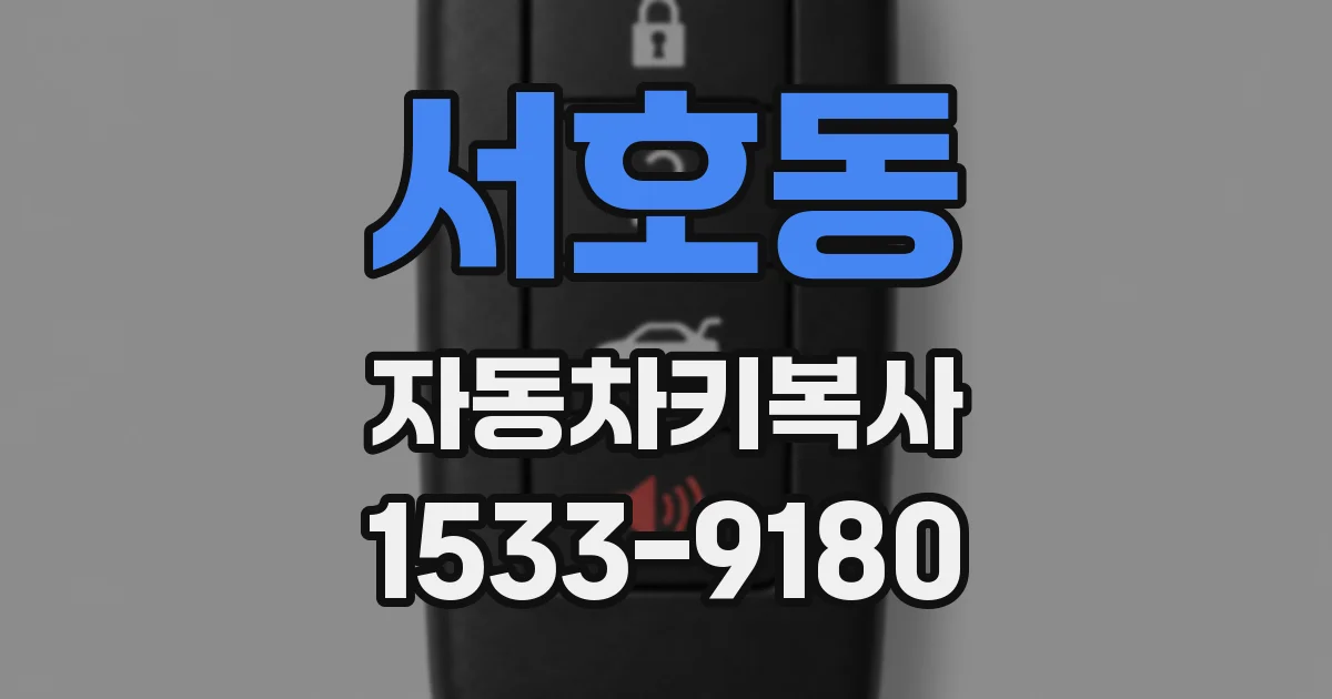 서호동 자동차키복사