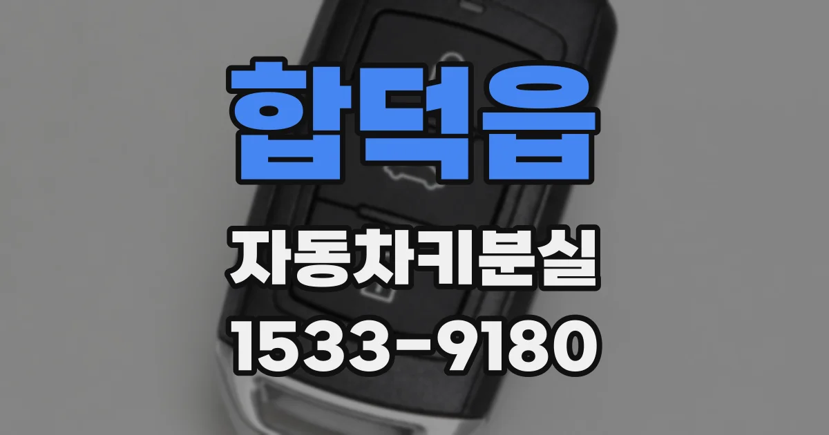합덕읍 자동차키분실