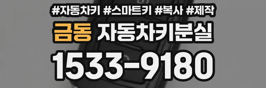 금동 자동차키분실