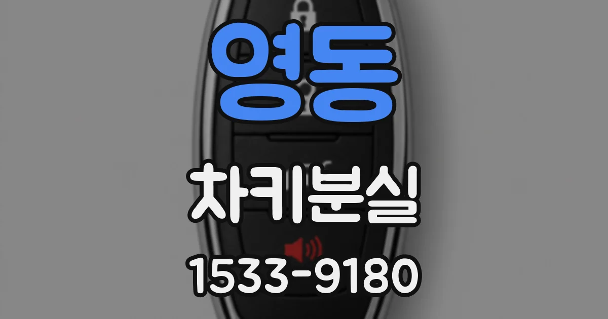 영동 차키분실