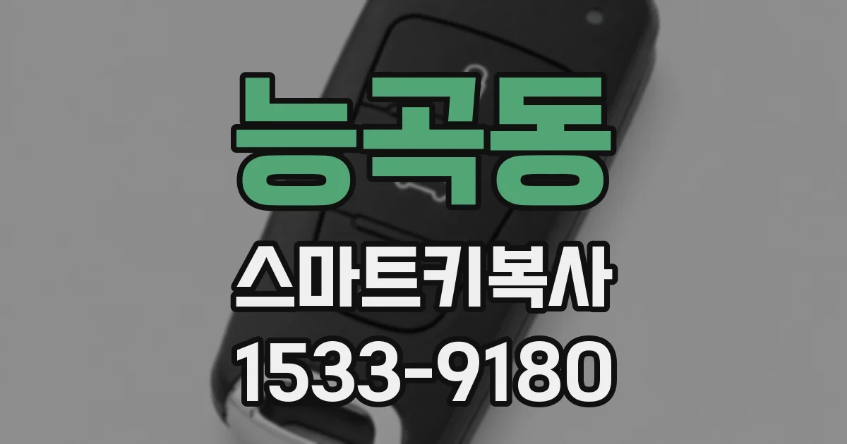 능곡동 스마트키복사