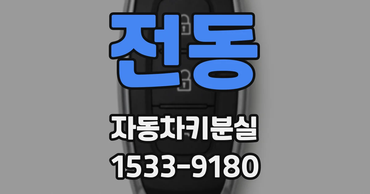 전동 자동차키분실