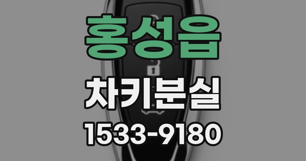홍성읍 차키분실