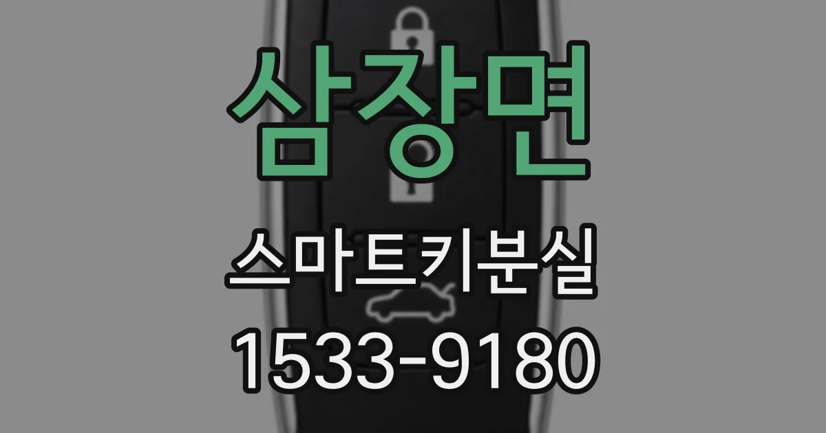 삼장면 스마트키분실