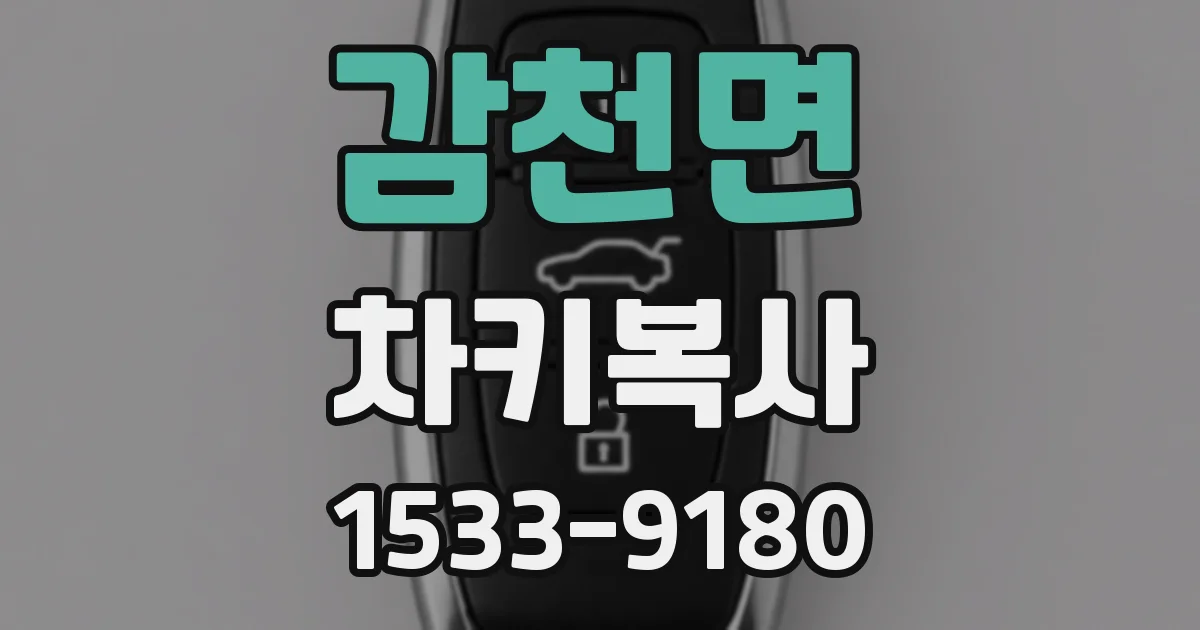 감천면 차키복사