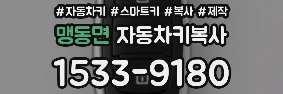 맹동면 자동차키복사