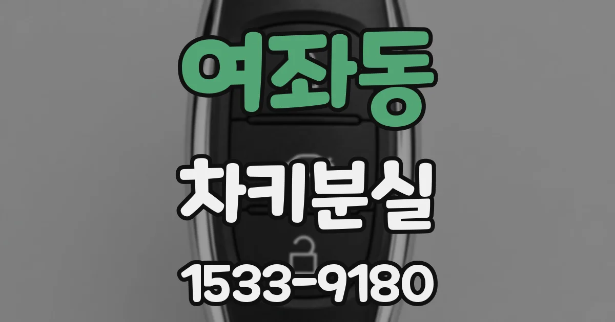 여좌동 차키분실