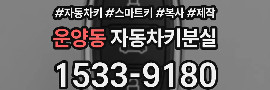 운양동 자동차키분실