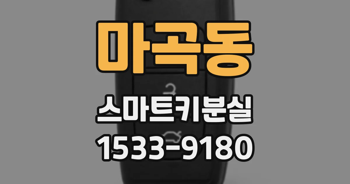 마곡동 스마트키분실