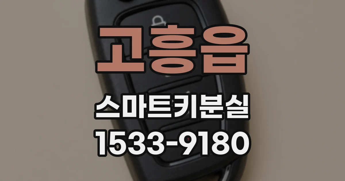 고흥읍 스마트키분실