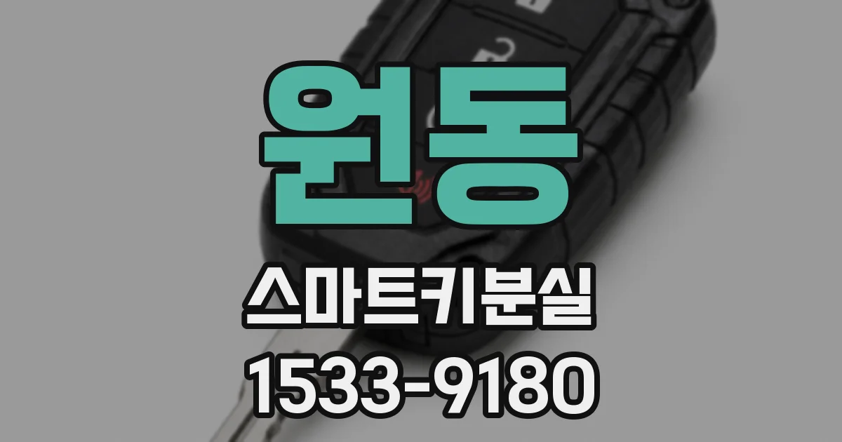 원동 스마트키분실