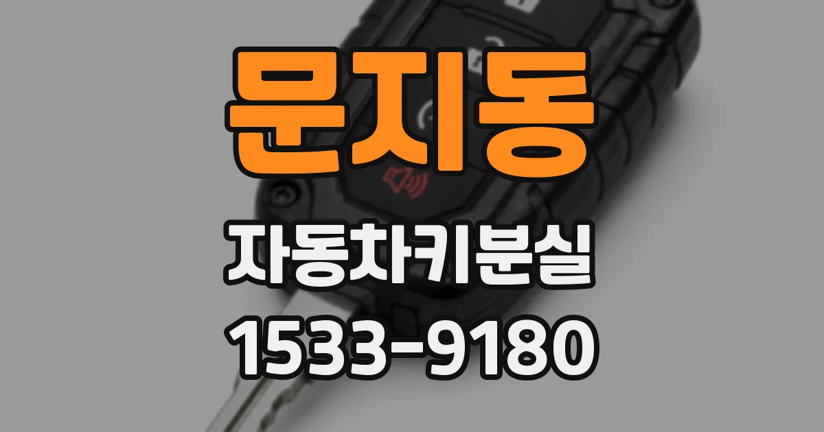 문지동 자동차키분실