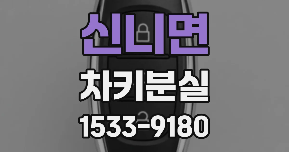 신니면 차키분실