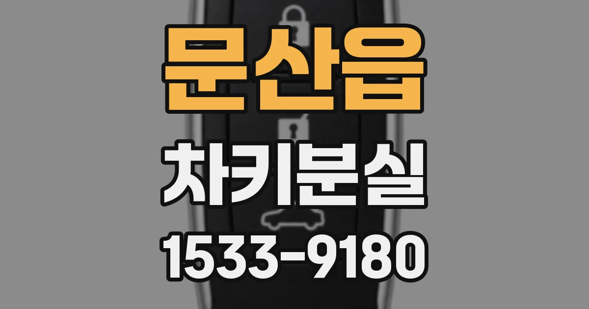 문산읍 차키분실