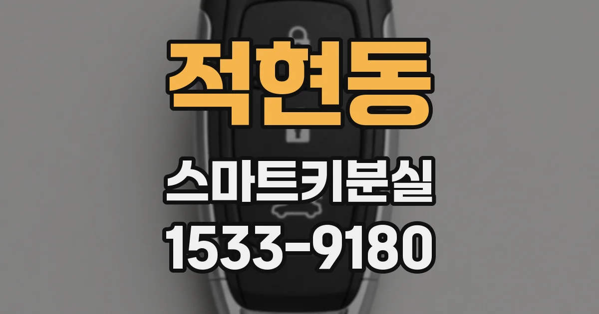 적현동 스마트키분실