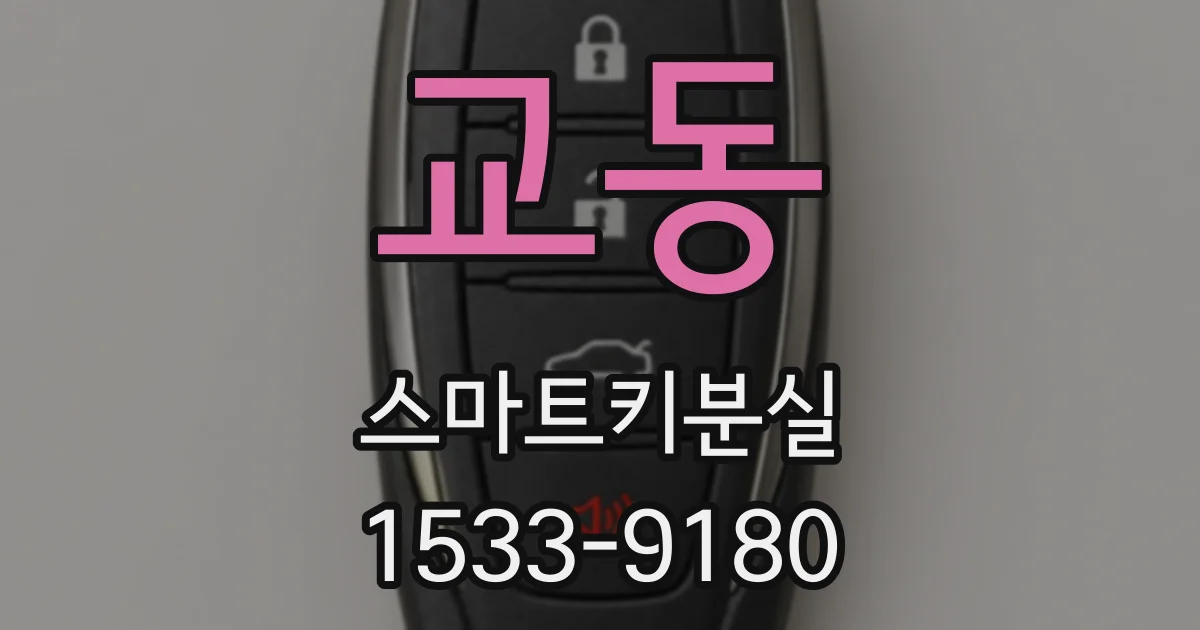 교동 스마트키분실