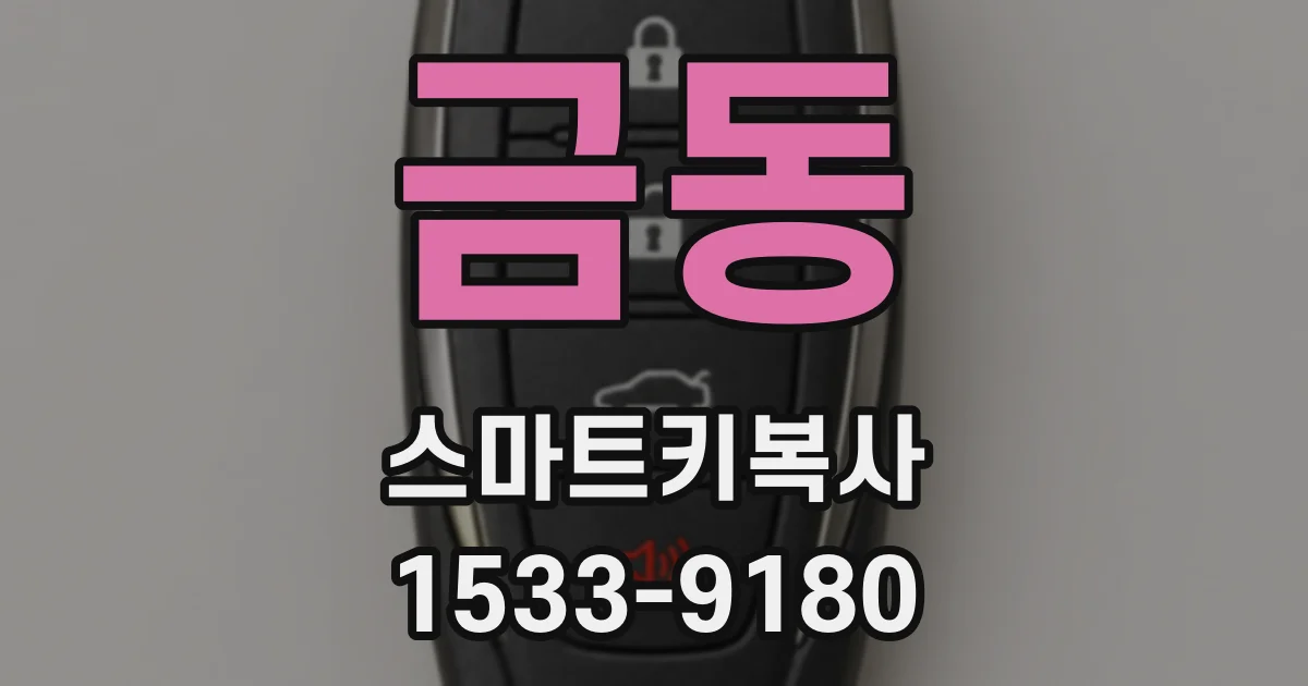 금동 스마트키복사